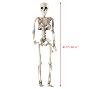 36 cm Veren Človeške Kosti Halloween Lobanje Okostje Dekoracijo Anatomija Model Strašno Rekviziti