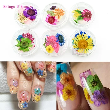 6 steklenic 3D Realnem Sušeno Suho Flower Nail Art Okras Mini Pravi Naravni Cvet UV Gel za Nohte, Nalepke Nohti Manikira Nasveti Decals