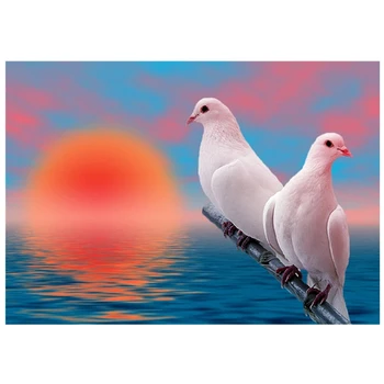 Celoten krog 5D DIY diamond slikarstvo sunrise obmorskih živali golob diamond vezenje kit mozaik krajine doma dekoracijo
