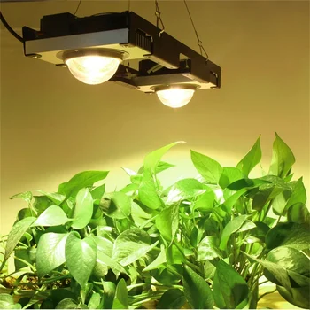 COB LED Grow Light Celoten Spekter 200W 3000K 3500K 5000K 85-265V Rastlin Raste Lučka Za Sobne Rastline Cvetje Hydroponics Rastejo Šotor