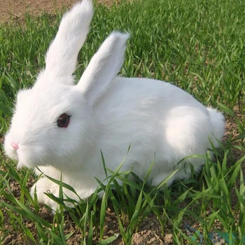Srčkan Realne Zajec White Rabbit Plišastih Lutka Simulacije Živali Zajček Igrača krzno + plastičnih Gome Dekoracijo 34 cm x 25 cm DY80036